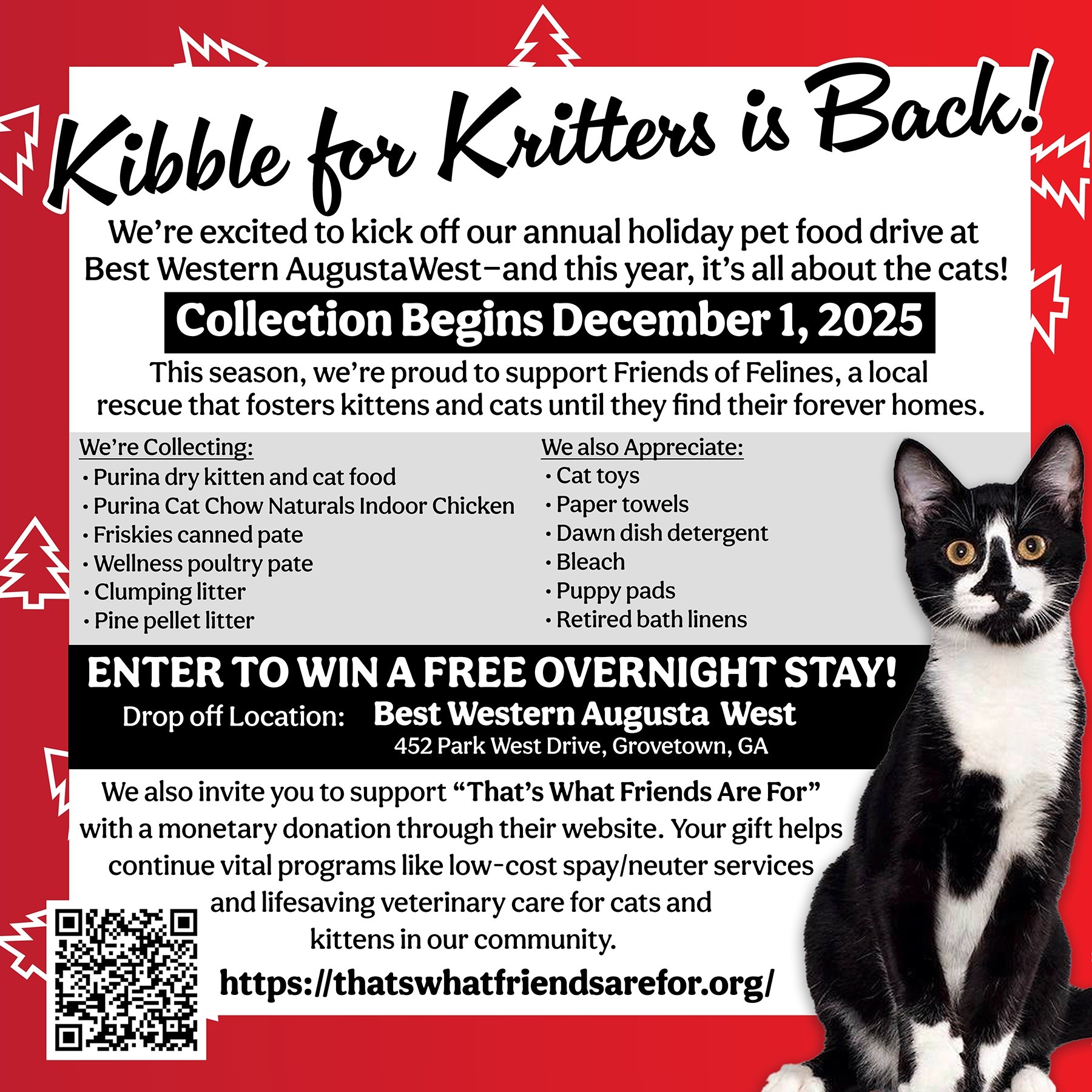 Kibble for Kritters Flyer